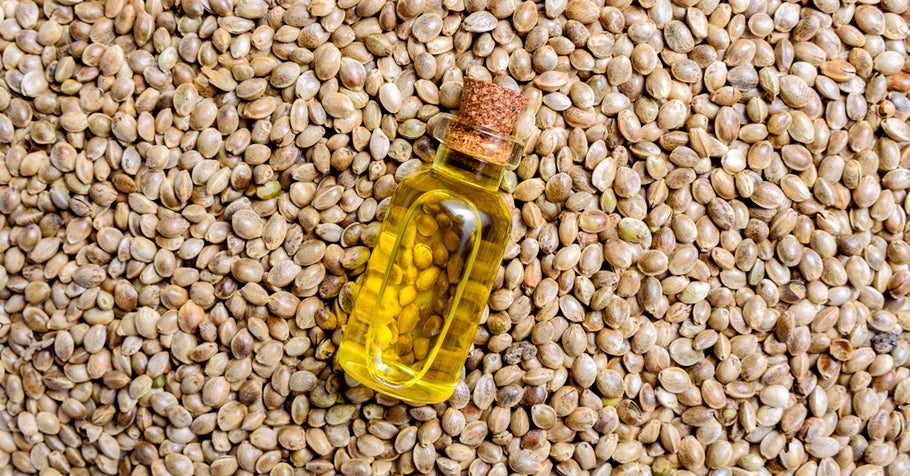 Amazing Hemp Seed Oil Benefits For Your Skin